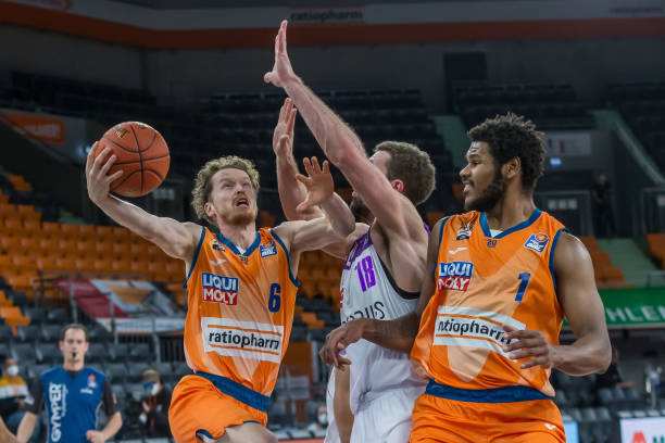 森林狼已具 森林狼已具