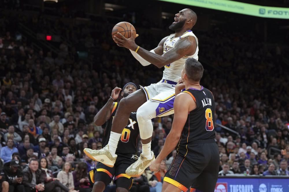 半肉刺客野 半肉刺客野